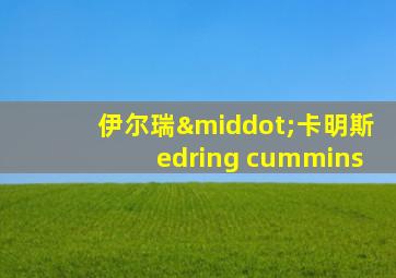伊尔瑞·卡明斯edring cummins
